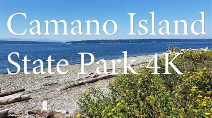 Are dogs allowed at Camano Island State Park?