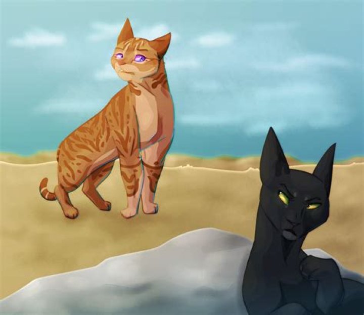 Are Heathertail and Breezepelt mates?