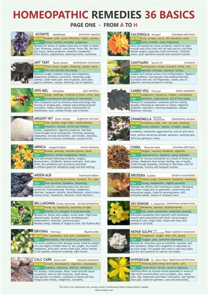 Can homeopathy be used for animals?