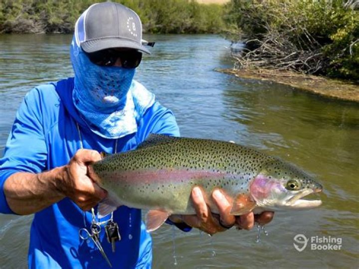 Can you fish in conservation areas in Ontario?