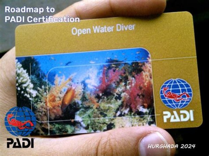 Can you look up PADI certification?