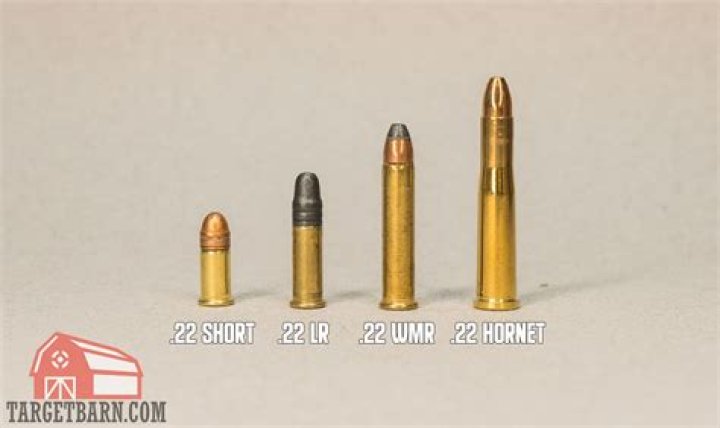 Can you shoot a 22 long rifle out of a 22 Magnum revolver?