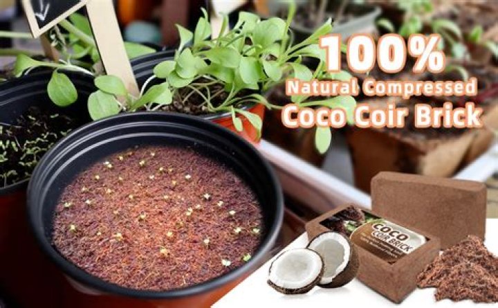 Can you use coco and soil together?