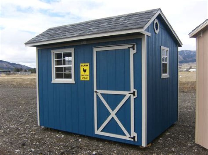 Do chickens really need a coop?
