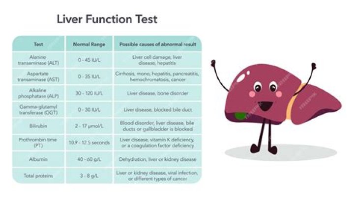 Do they check your liver function when pregnant?