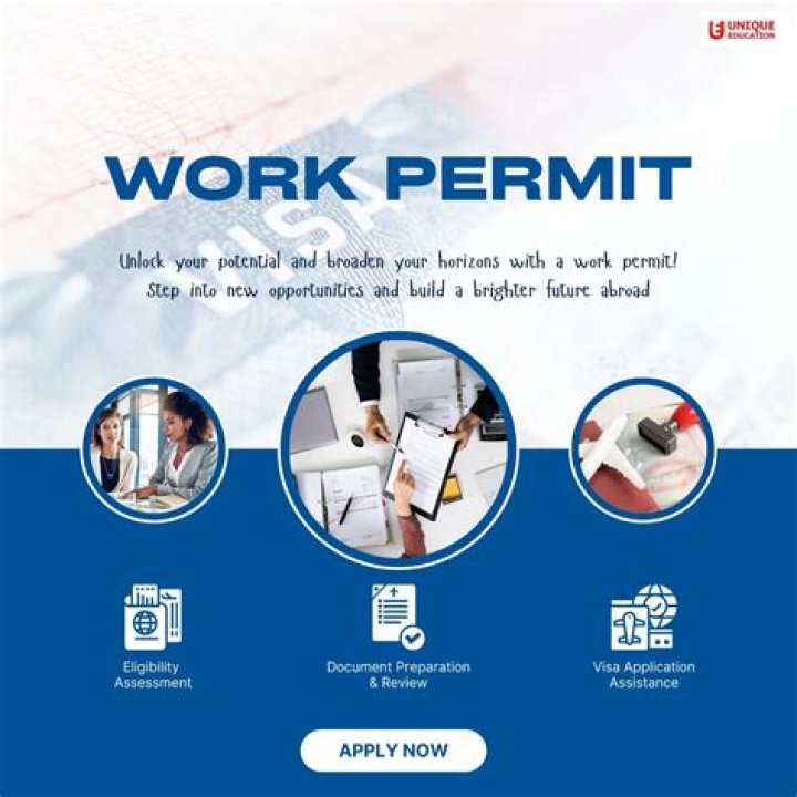 Do you need a work permit at 17?