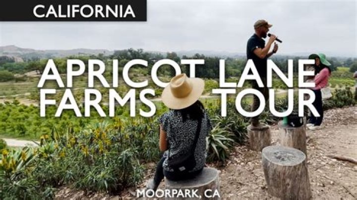 Does Apricot Lane farms make money?