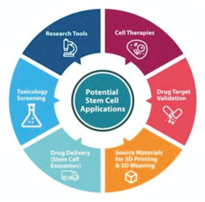 Does China allow stem cell research?