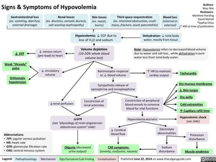 Does dehydration cause hypovolemia?