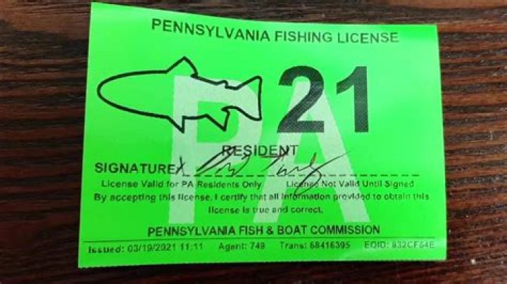 Does Illinois have a lifetime fishing license?