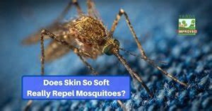 Does Skin So Soft repel midges?