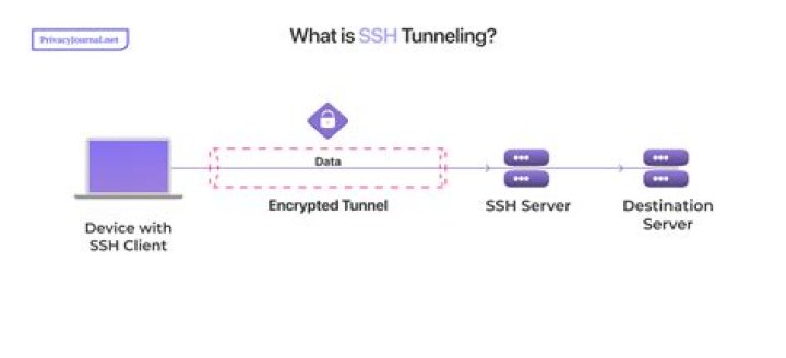 Does SVN use SSH?