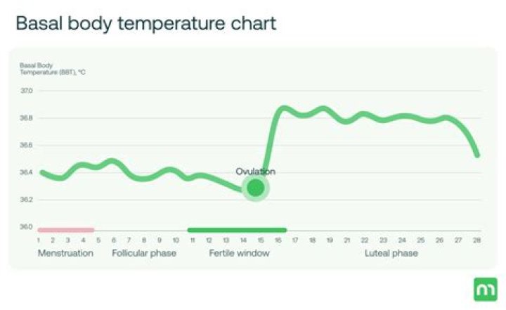 Does your basal body temperature stay high if you are pregnant?