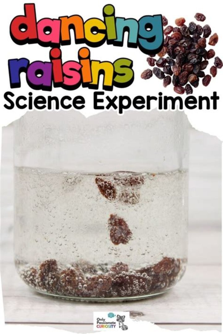 How can you prove the osmosis with the help of raisins experiment?