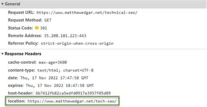 How do I see redirect in WordPress?
