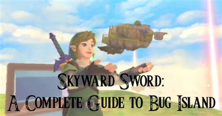 How do you get a big bug net in Skyward Sword?