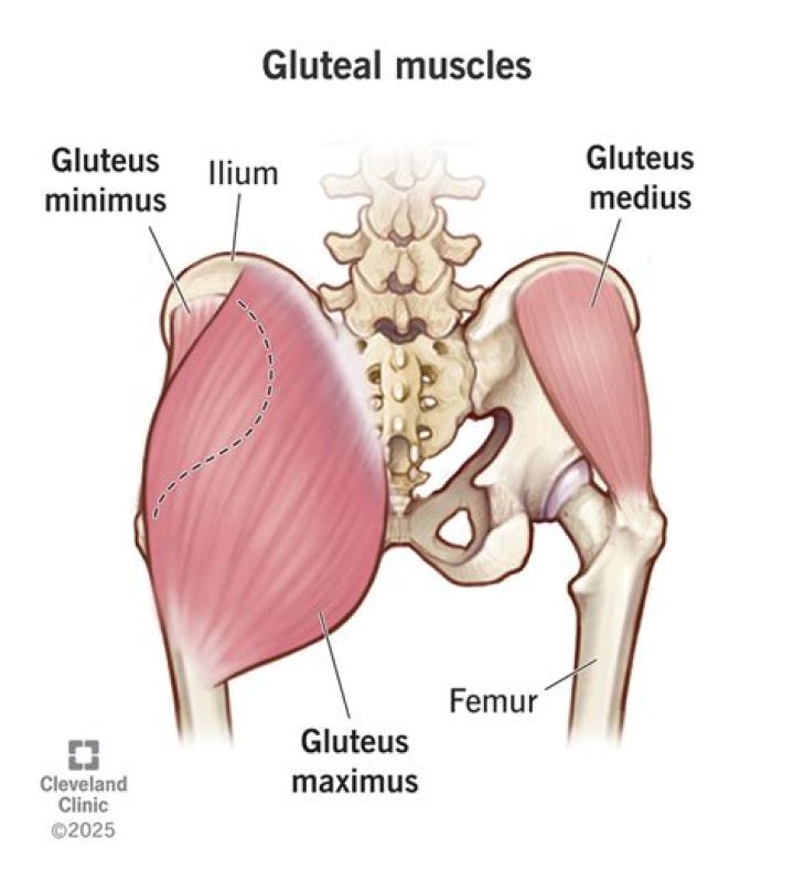 How do you get your glutes striated?