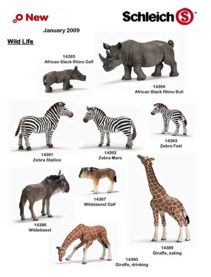 How do you identify Schleich animals?