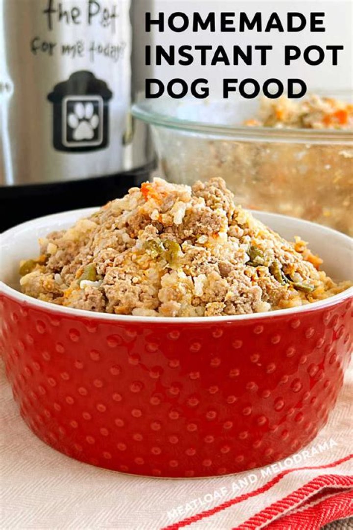 How do you make homemade dry dog food?