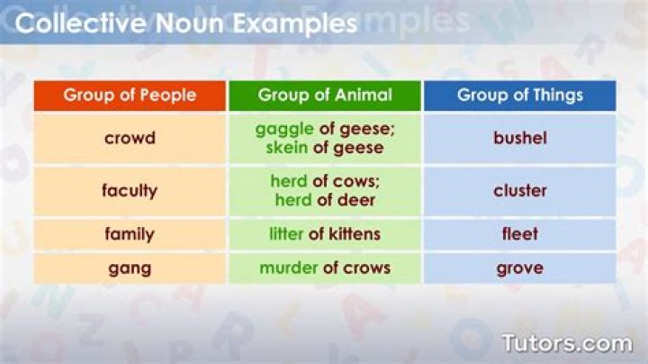 How do you tell if a collective noun is singular or plural?