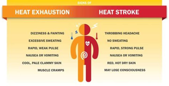 How do you treat heat stress in a cow?