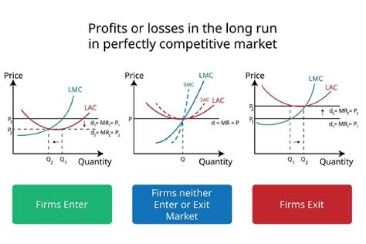 How does a perfectly competitive firm maximize profit in the long run?