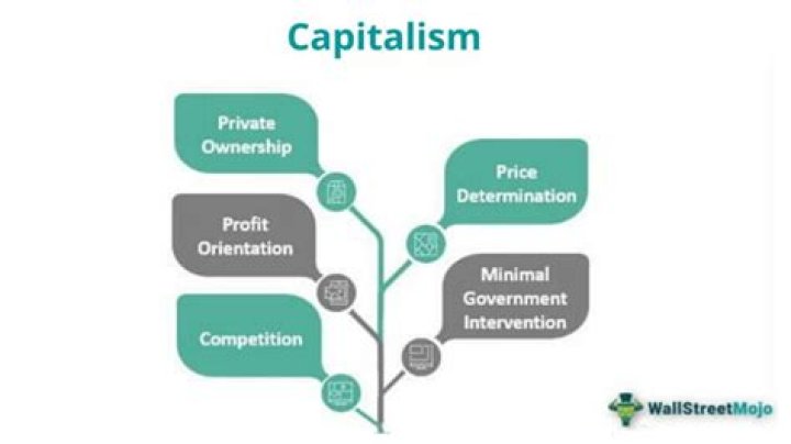 How does capitalism work in the USA?