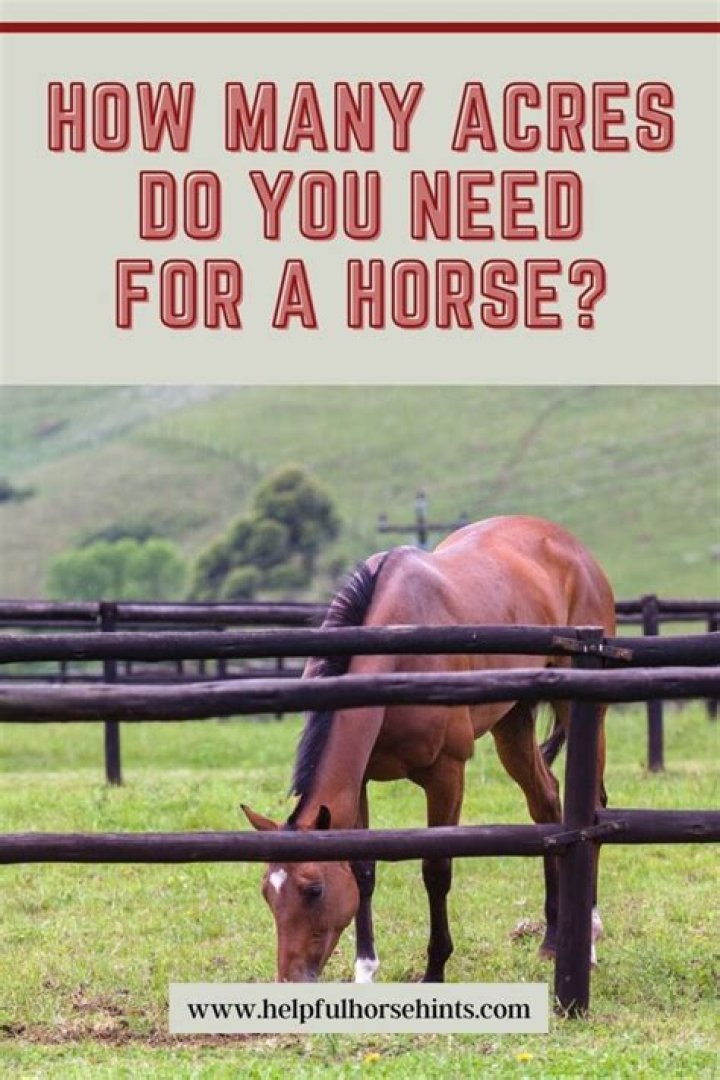 How many acres do you need for a horse in New York?
