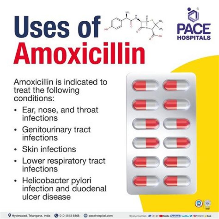 How many days should a dog be on amoxicillin?