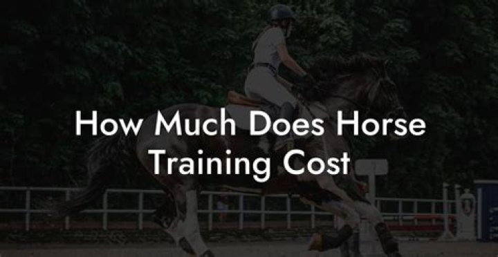 How much does horse training cost?