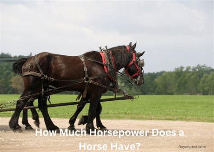 How much horsepower does the YXZ1000R SS have?