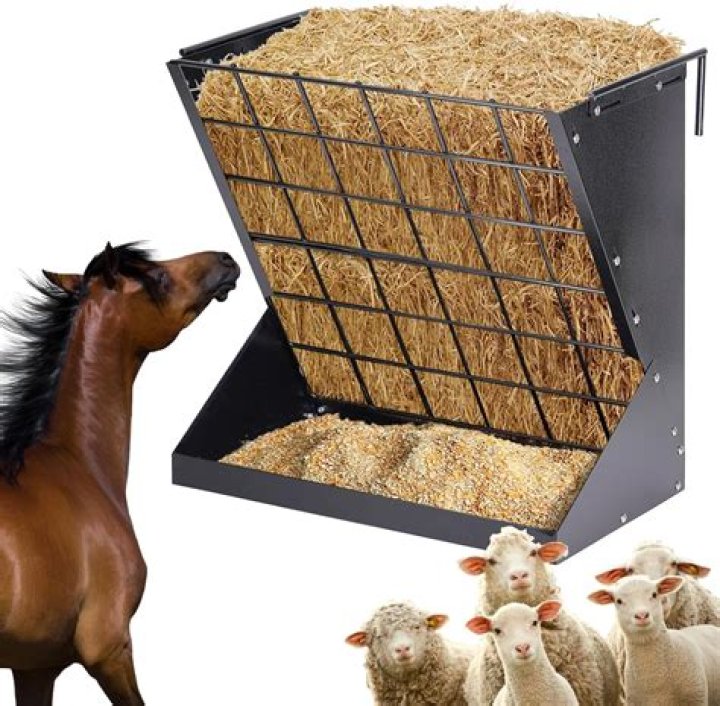 How tall should a horse hay feeder be?