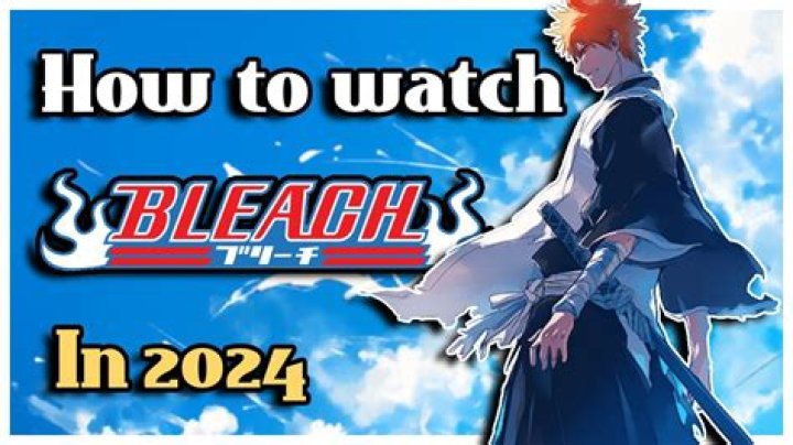 In what order should I watch Bleach movies?