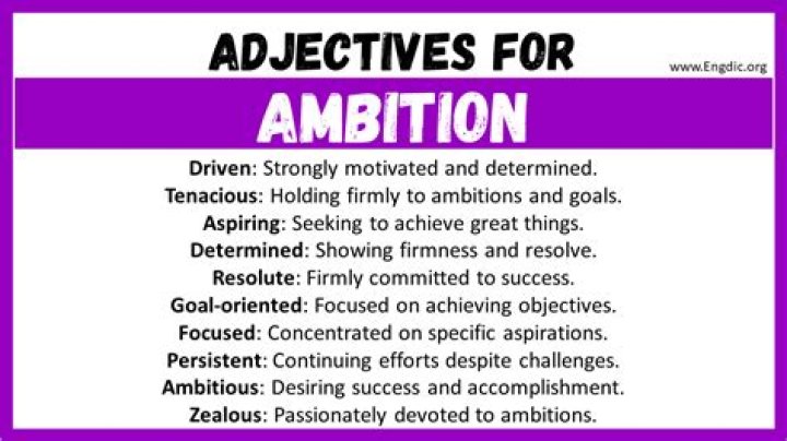 Is ambition a noun or adjective?