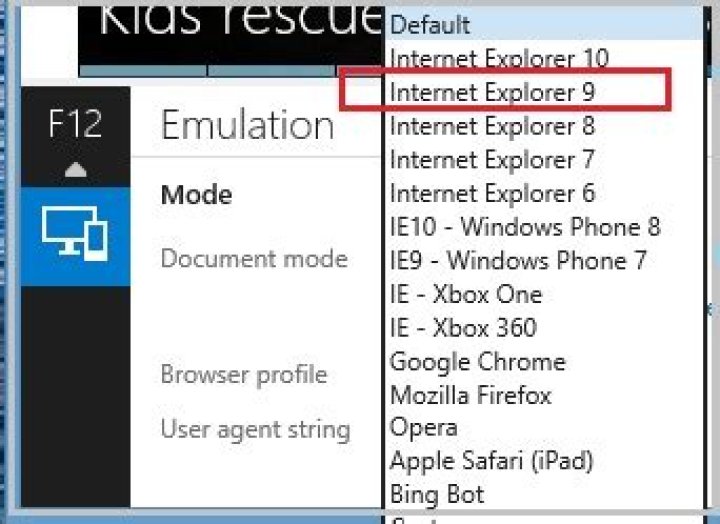 Is Microsoft Internet Explorer still supported?