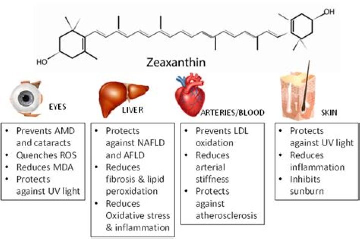 Is zeaxanthin bad for your liver?