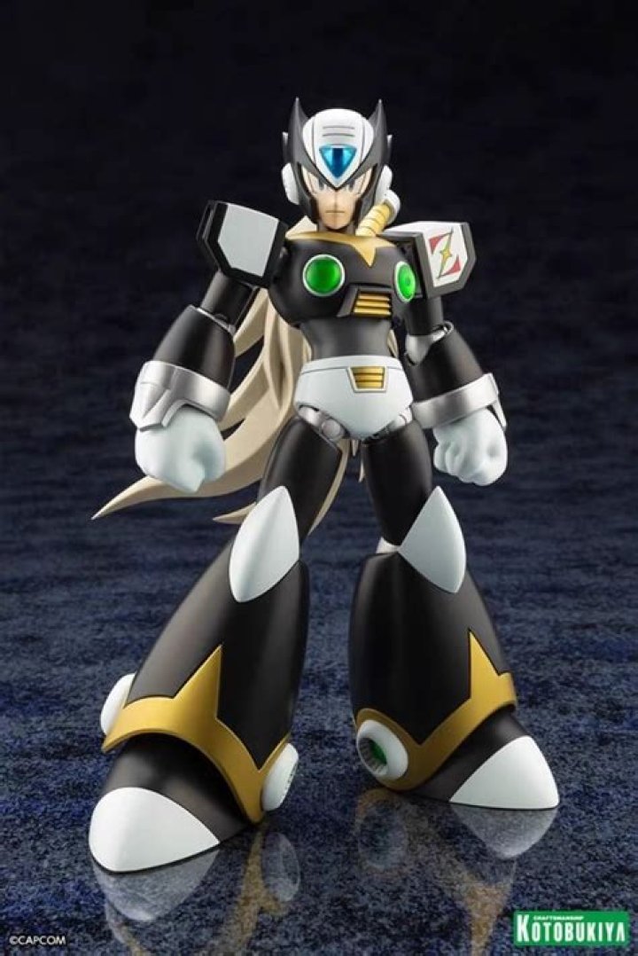 Is Zero from Mega Man a girl?