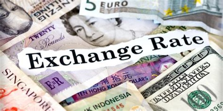 What affects the exchange rate in the long run?