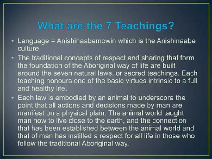 What are the 7 Teachings that the Ojibwe believe in?