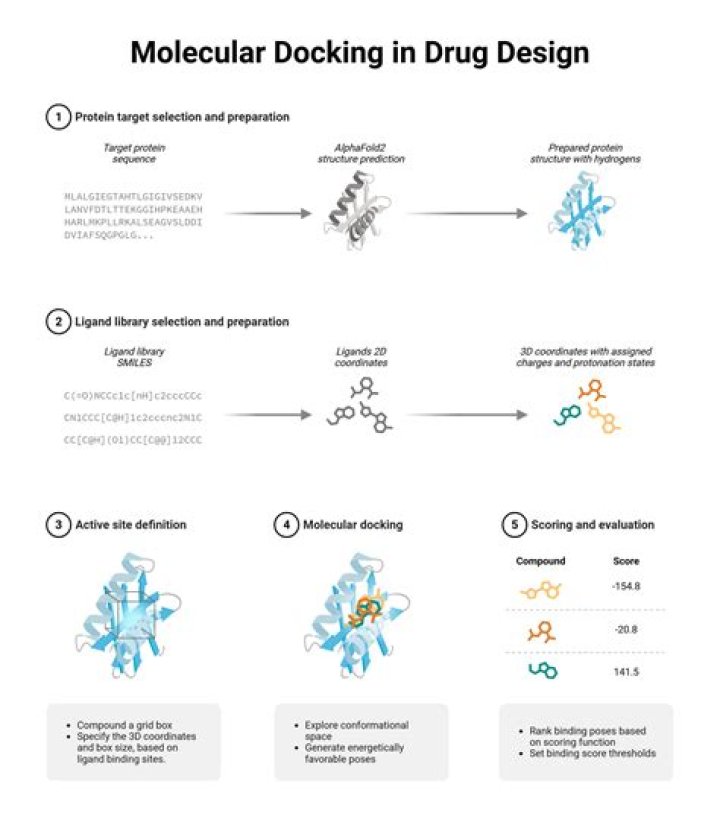 What are the basic steps for molecular docking?