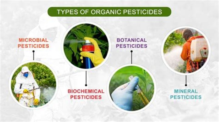 What are the most toxic herbicides?