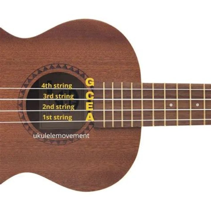 What are the names of the 4 strings on A ukulele?