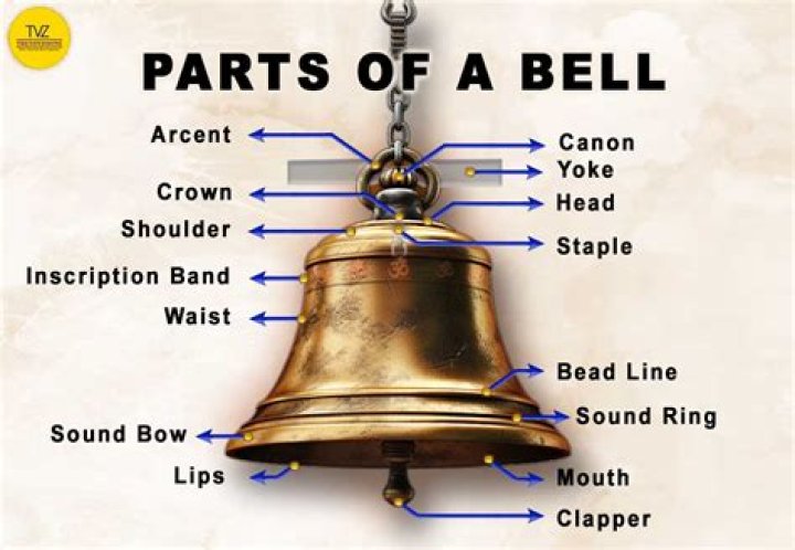 What are the parts of a bell called?