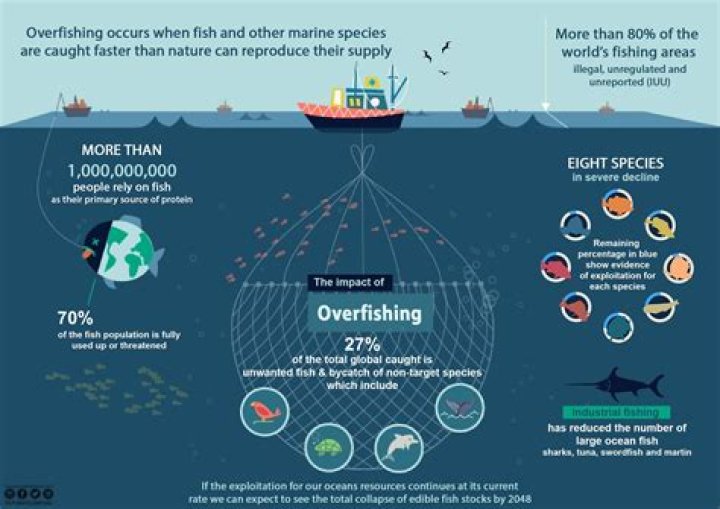 What are the statistics of overfishing?
