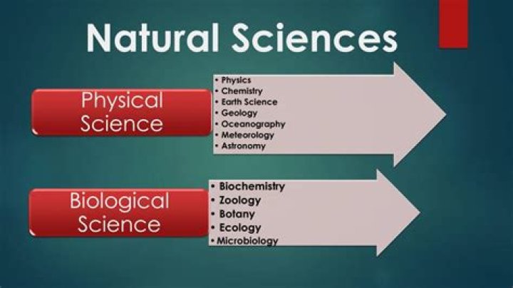 What are the sub branches of natural science?
