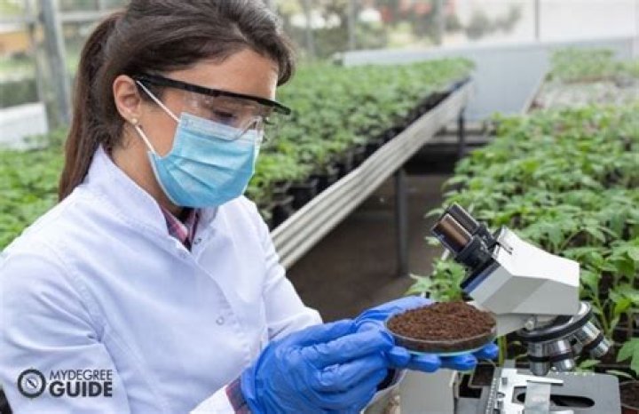 What can you do with a naturalist certification?