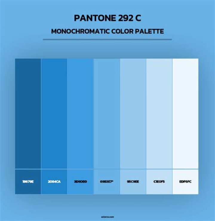 What color is Pantone 293c?