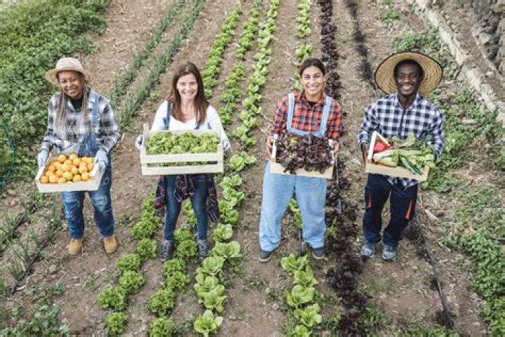 What do farmers do at night?