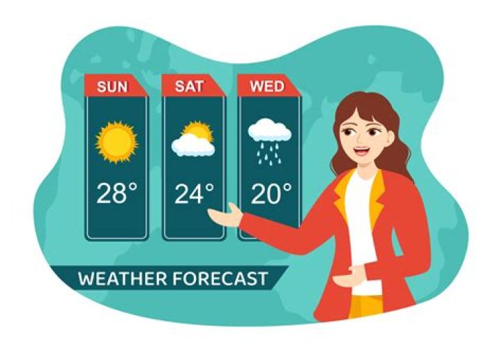 What does a forecaster do?