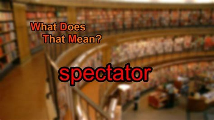 What does spectator of life mean?